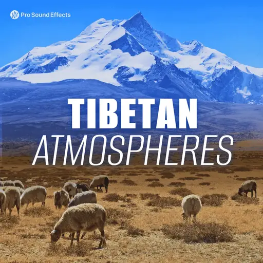 Tibet Road Traffic 02