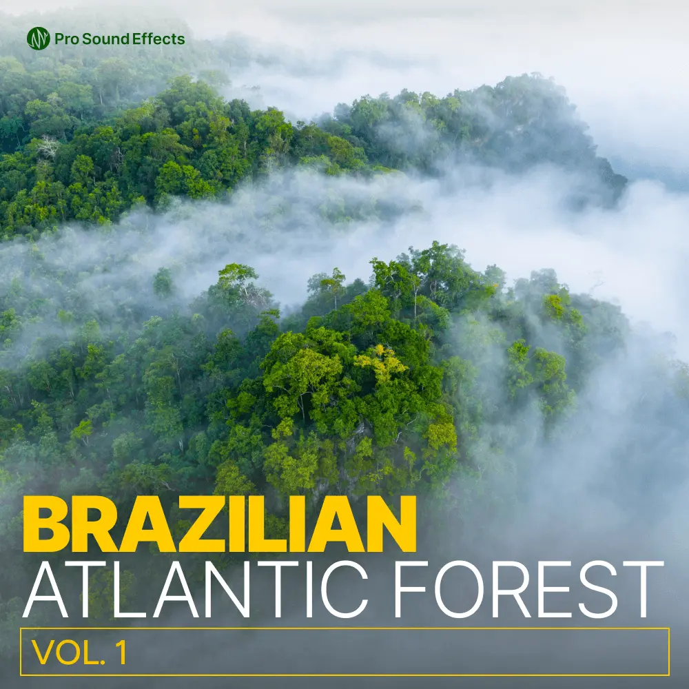 Brazilian Atlantic Forest: Vol. 1