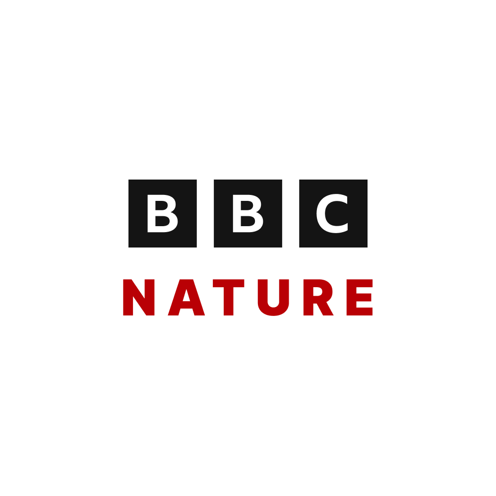 the-bbc-nature-sound-effects-library-pro-sound-effects