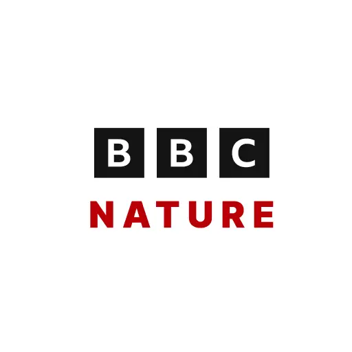 BBC Nature