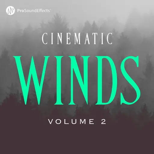 Cinematic Winds Vol. 2