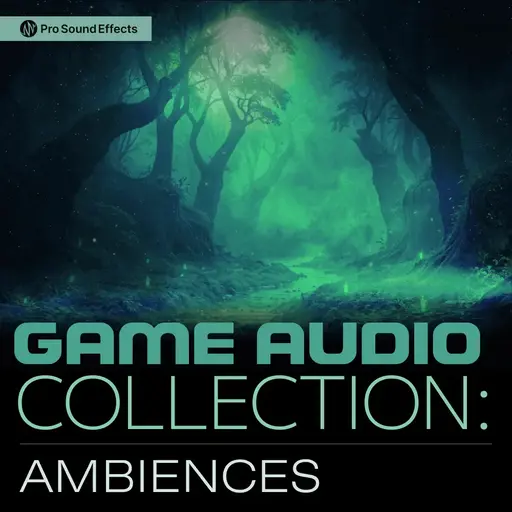 Game Audio Collection: Ambiences - Library by Pro Sound Effects