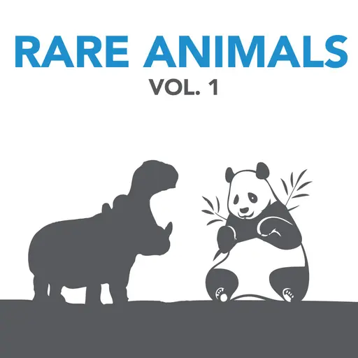 Rare Animals