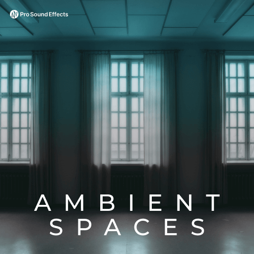 Ambient Spaces