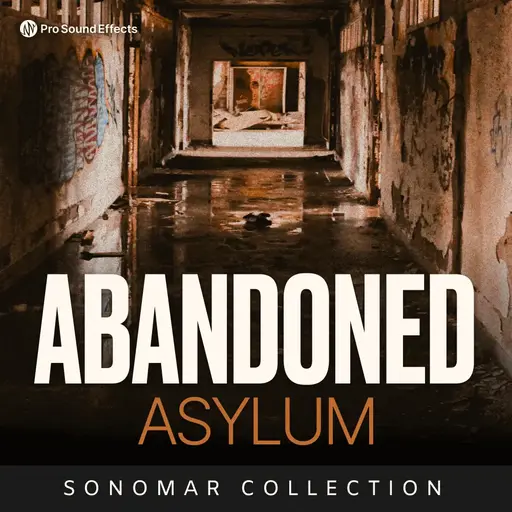 Abandoned Asylum Room Tone 010