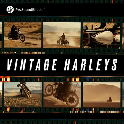 Vintage Harleys