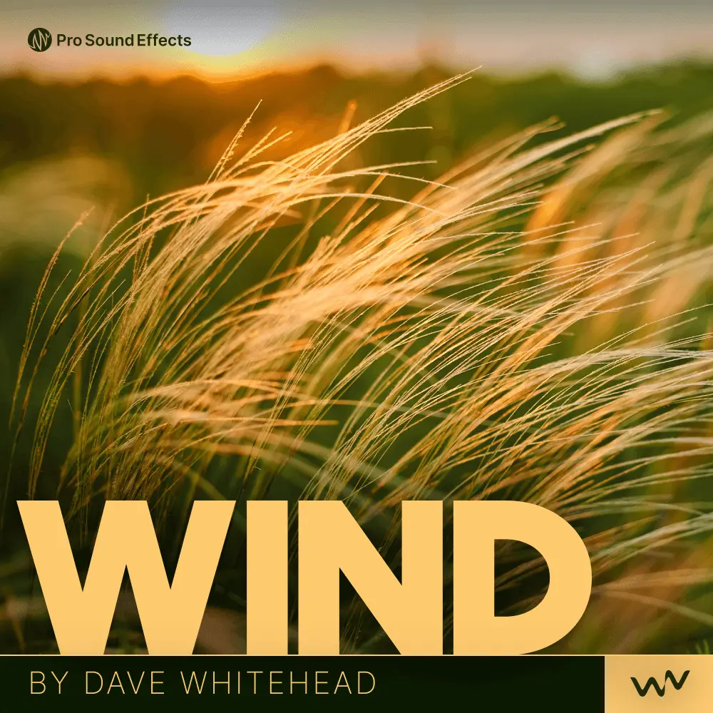Wind