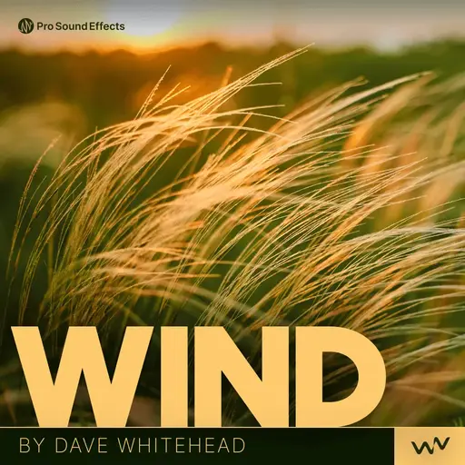 Whistling Wind Wire